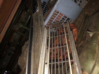 IMG_1241.JPG IMG_1241.JPG