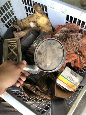 IMG_1243.JPG IMG_1243.JPG