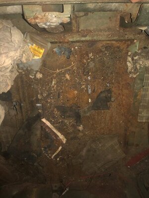 IMG_2531.JPG IMG_2531.JPG