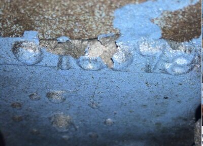 257D892A-2F5D-46DC-95DF-F6DAFE908413.jpeg 257D892A-2F5D-46DC-95DF-F6DAFE908413.jpeg