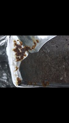 C2D2F006-680E-477A-94DD-2DD6B6FAB2F7.jpeg C2D2F006-680E-477A-94DD-2DD6B6FAB2F7.jpeg