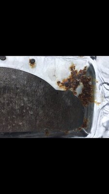 A3E97EAC-9C61-4BC7-B06D-4052EAA2D17E.jpeg A3E97EAC-9C61-4BC7-B06D-4052EAA2D17E.jpeg