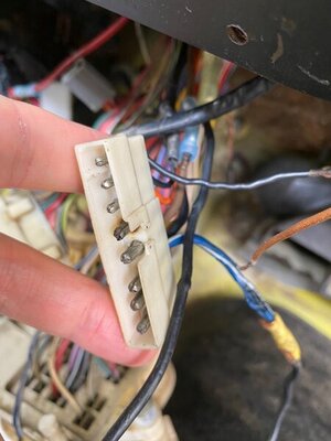 IMG_3950.jpg IMG_3950.jpg