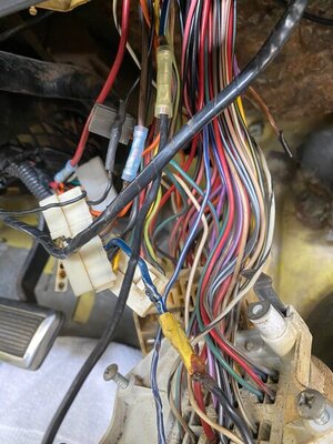 IMG_3948.jpg IMG_3948.jpg