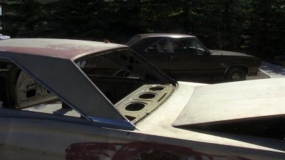 IMG_1251.jpg IMG_1251.jpg