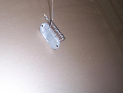 temperature sensor.jpg