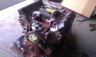 IMAG1102.jpg IMAG1102.jpg