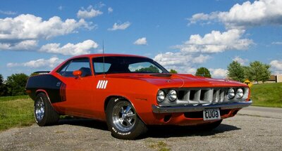 DSC_5337.jpg DSC_5337.jpg