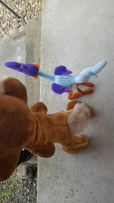 20200916_153747.jpg 20200916_153747.jpg