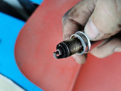 IMG_20200920_101859.jpg IMG_20200920_101859.jpg