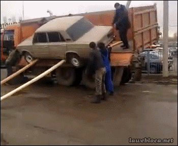 Ud8T.gif