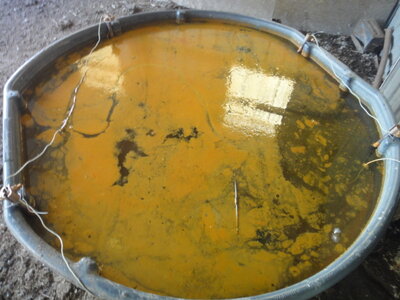 DSC03053.JPG DSC03053.JPG