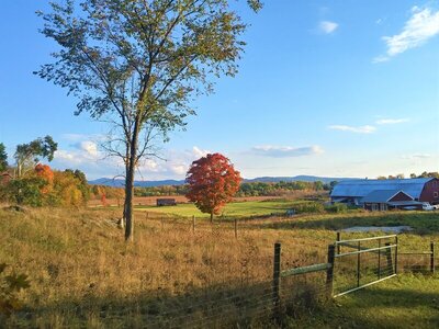 0928201730_HDR.jpg