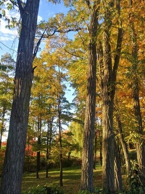 0928201732_HDR.jpg