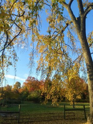 0928201740_HDR.jpg
