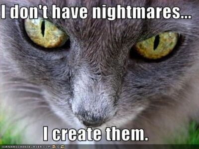 I-Dont-Have-Nightmares-Funny-Evil-Eyes-Cat.jpg