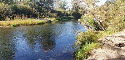 20200928_121525.jpg