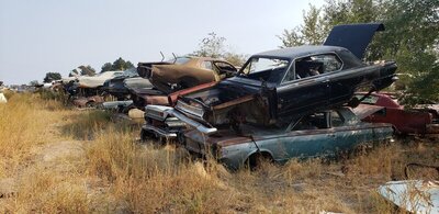 20201001_151433.jpg