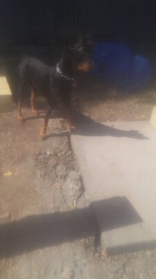 20201001_114423.jpg
