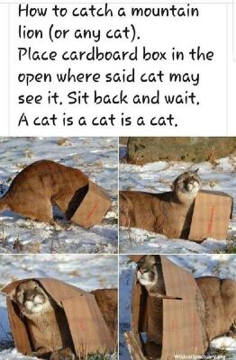 ef2d5b9f7345b9c0c15f285ca63b7cf8.jpg