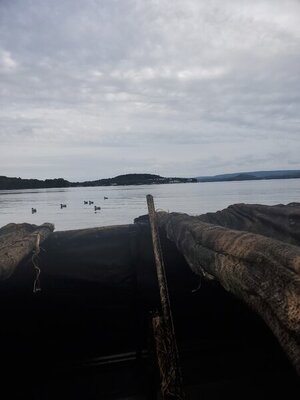 20201003_101409.jpg