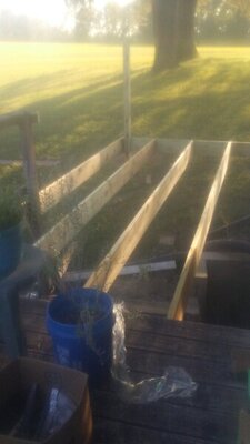 20200920_173227.jpg