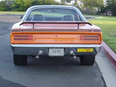 Rear dead on noflsh nice.jpg