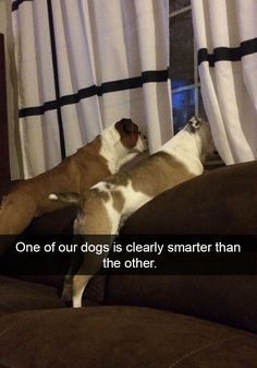 7bd0e73b9d2d6c22157b77e6c269c6bf.jpg