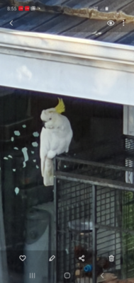 upload_2020-10-5_14-30-28.png upload_2020-10-5_14-30-28.png