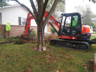 20201005_090359.jpg 20201005_090359.jpg