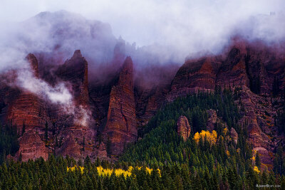 2015-10-06-owl-fog-morn-mi1s-7-8-6d_2806.jpg
