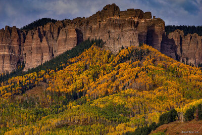 2015-10-06-owl-creek-trees-viv1-84-7-0-6d_2881.jpg