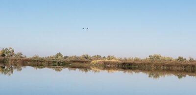 20201005_115117.jpg