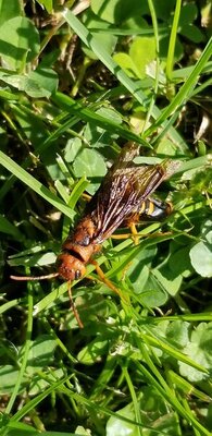 20201007_112027.jpg