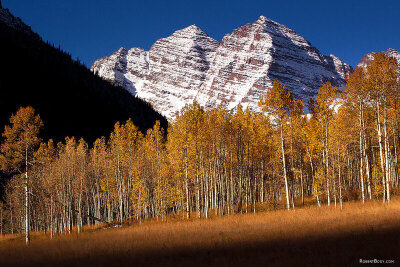 2011-10-09-maroon-trees-meadow-105757.jpg
