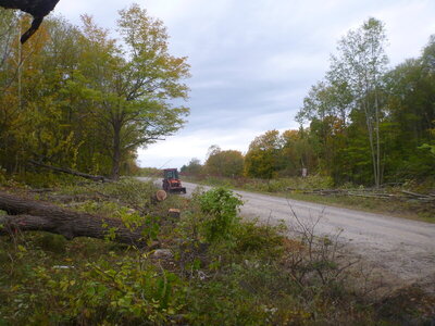 runwayapproachclearingaugsept2020 105.JPG
