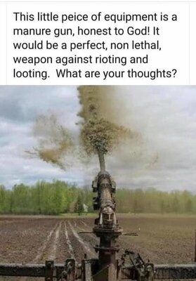 3D97C1CF-AE75-4EA6-906E-45E55ABDF220.jpeg