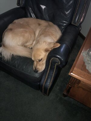 846B274F-34F7-48E7-8B2D-C15D452193C9.jpeg 846B274F-34F7-48E7-8B2D-C15D452193C9.jpeg