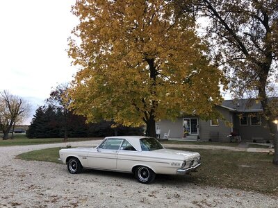 1F6D5DFD-9881-4D49-8F28-BD277BFD2A2E.jpeg 1F6D5DFD-9881-4D49-8F28-BD277BFD2A2E.jpeg