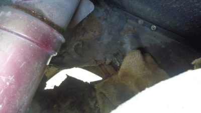 ImpTrunk2.png ImpTrunk2.png