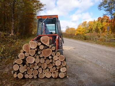 runwayapproachclearingaugsept2020 122.JPG