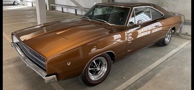 file171.jpg file171.jpg