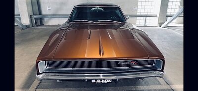 file172.jpg file172.jpg