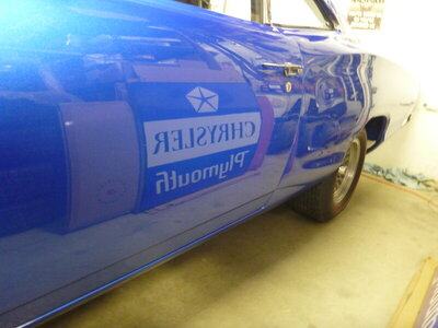 beebirdshopcleanoct162020 026.JPG