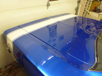 beebirdshopcleanoct162020 017.JPG
