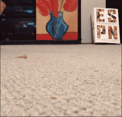 53621dad4a9f0730ab3473b12fc8edc9.gif