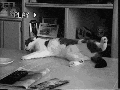4c024c34c36fcc66b8274da735bdd75e.gif