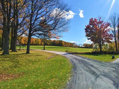 1017201317_HDR.jpg