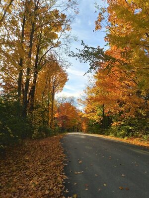 1018201637_HDR.jpg