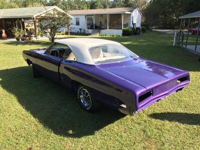 34 (2).JPEG 34 (2).JPEG